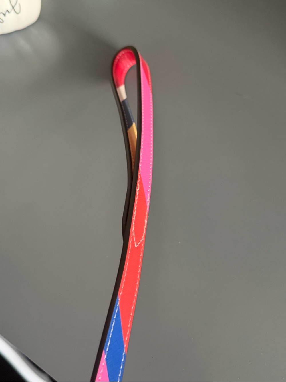 Tory Burch Multi Color Stripe Leather Dog Leash **NWOT** - Picture 4 of 9